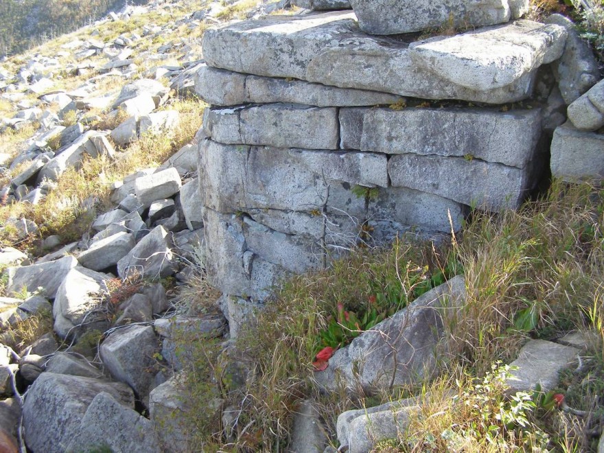P9130718_resize.JPG