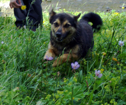 100_8020.jpg